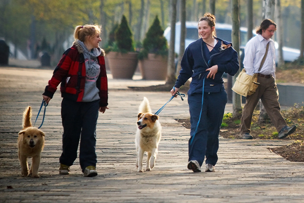 Students from the Vet Tech Institute walk dogs along the river park along Fort Duquesne Blvd