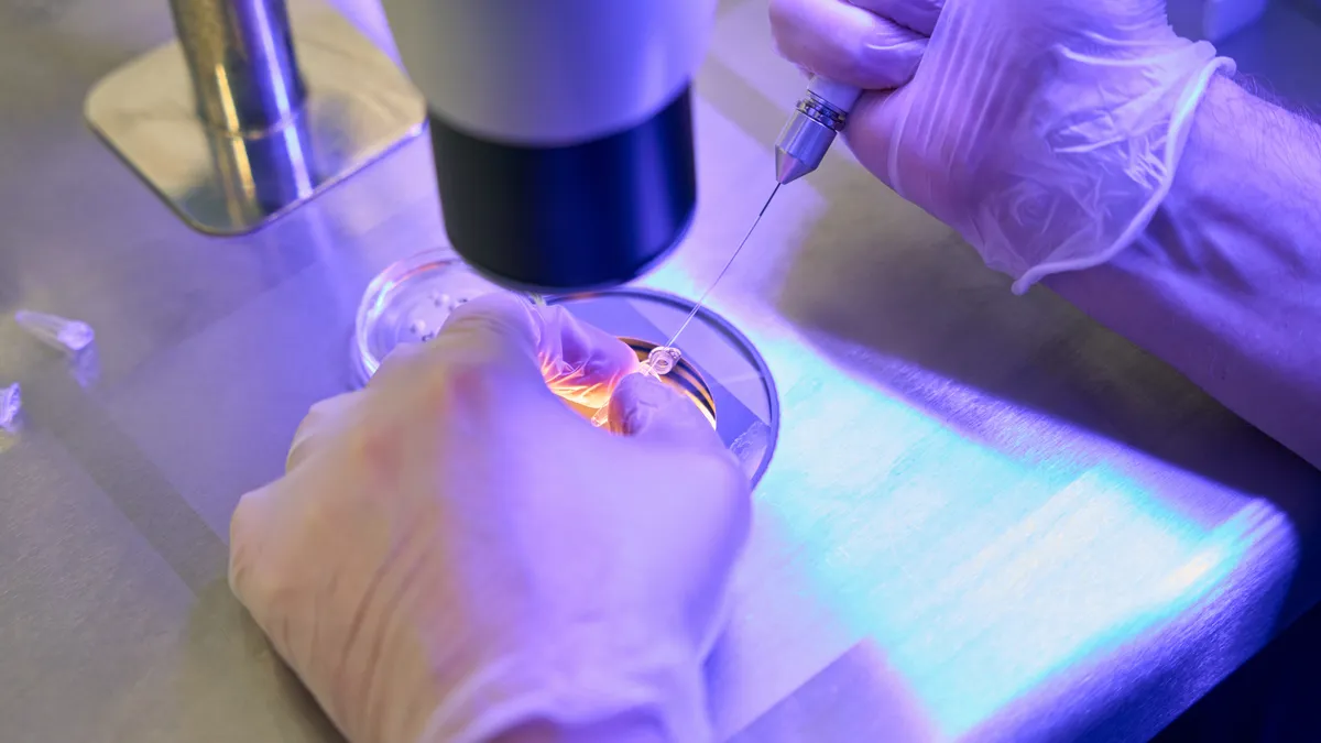 Using the body as ‘a bioreactor’ — a regenerative medicine expert on where the field is headed