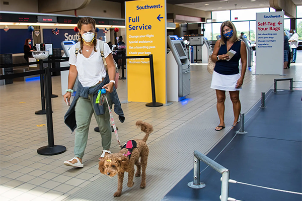 Travelers at the Pittsburgh International Airport  