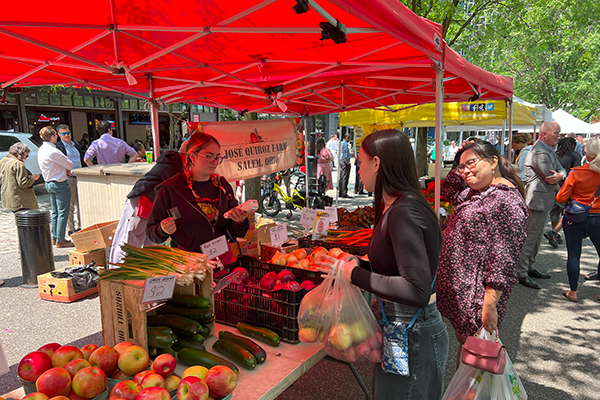 People purchasing goods at the farmers market